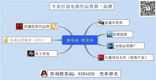 淘宝天猫代运营 硕王键盘鼠标工厂全国诚招代理商，专业电子商务运营服务